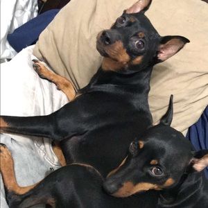 Meet your Posher, Nicolette